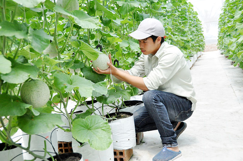 Một ngày ở nông trại 4.0