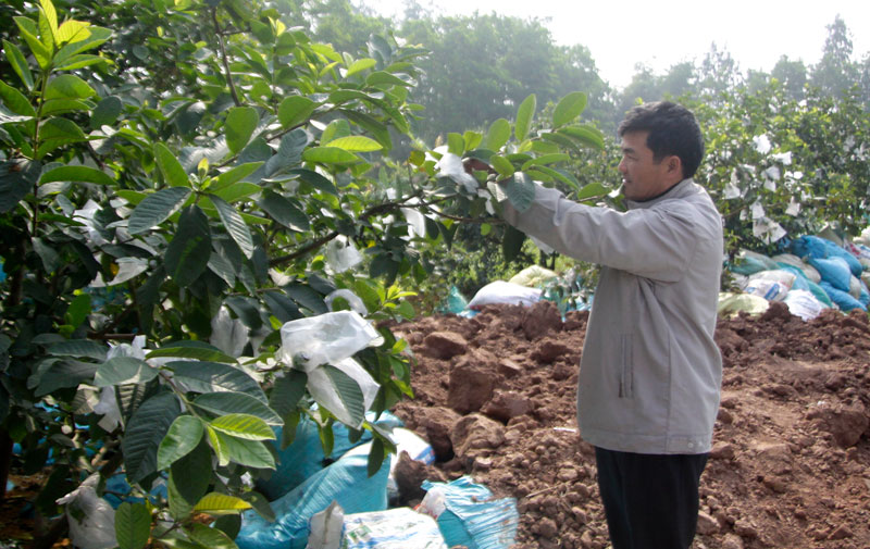 Phát triển tốt nhờ thực hiện hiệu quả các phong trào thi đua